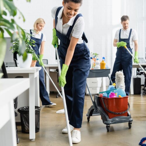 Votre entreprise de nettoyage professionnel et de débarras à côté de Strasbourg et Haguenau Strasbourg